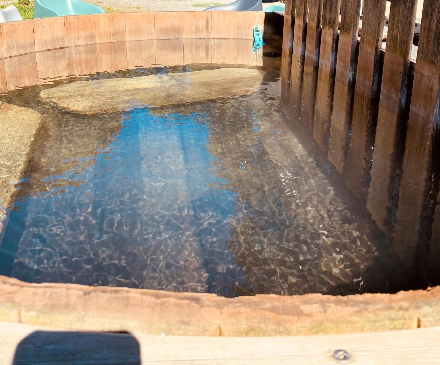Les Marmottes Pour 12 Avec Bain Nordique Privatif Camous Exterior foto